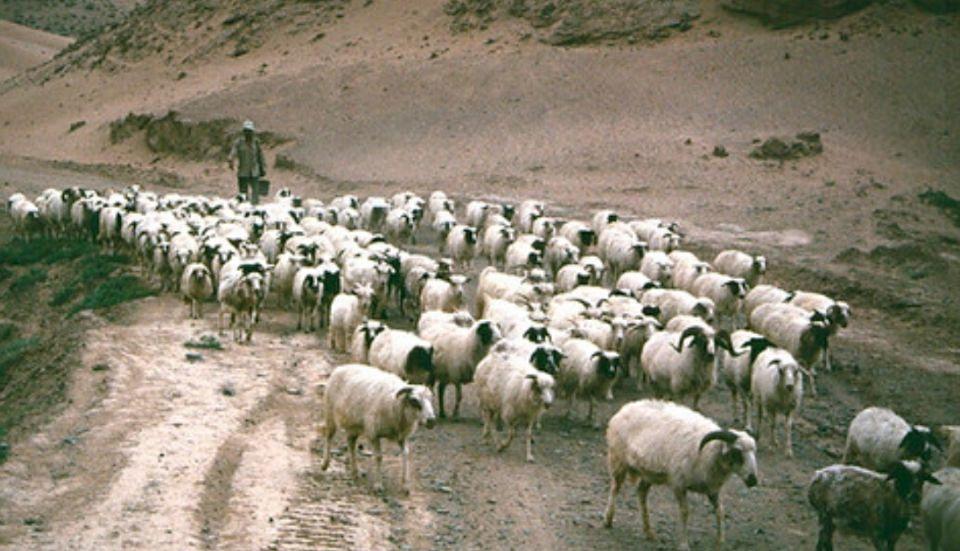 宁夏，致敬亲爱的听众朋友们