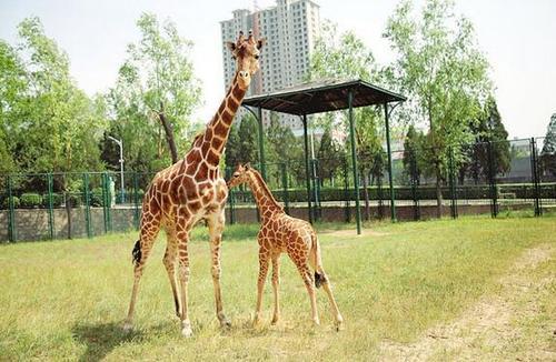 太原,自然之约,浪漫太原之旅