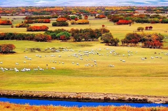 草原牧歌，呼伦贝尔牧民远眺